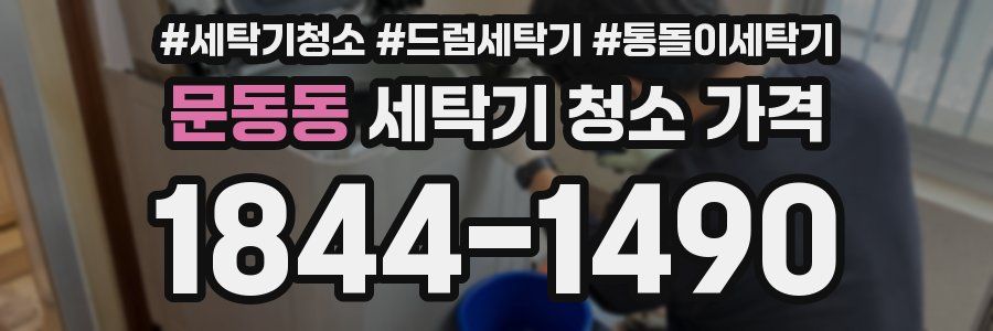 문동동 세탁기 청소 가격