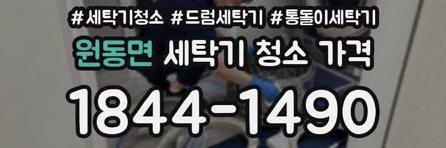 원동면 세탁기 청소 가격