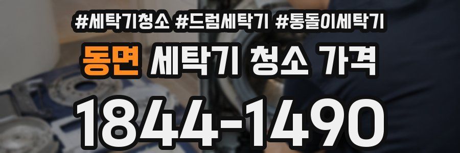 동면 세탁기 청소 가격