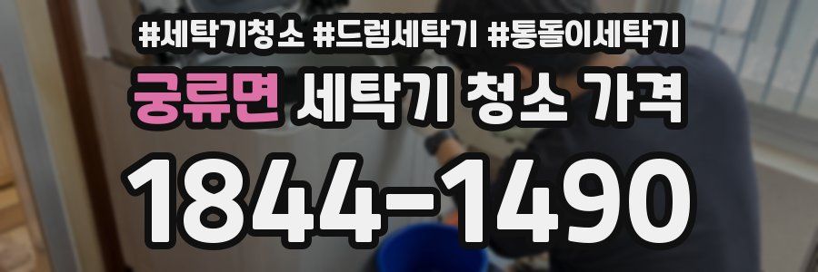궁류면 세탁기 청소 가격