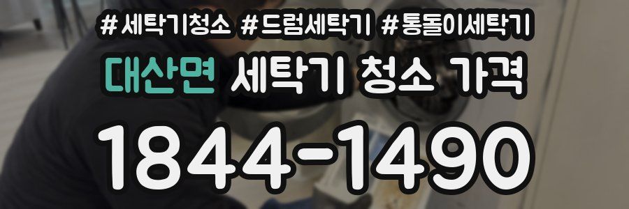 대산면 세탁기 청소 가격