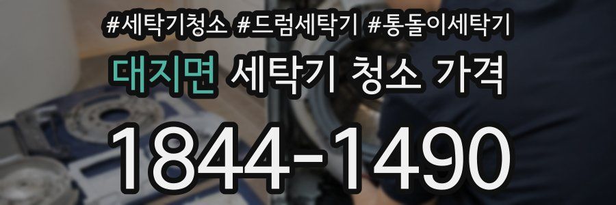 대지면 세탁기 청소 가격