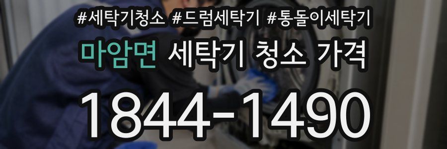 마암면 세탁기 청소 가격