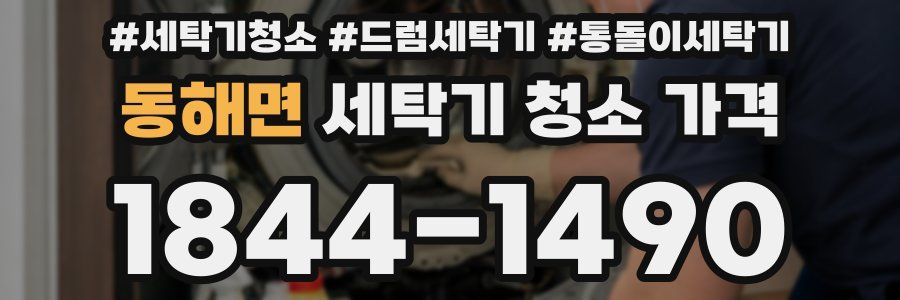 동해면 세탁기 청소 가격