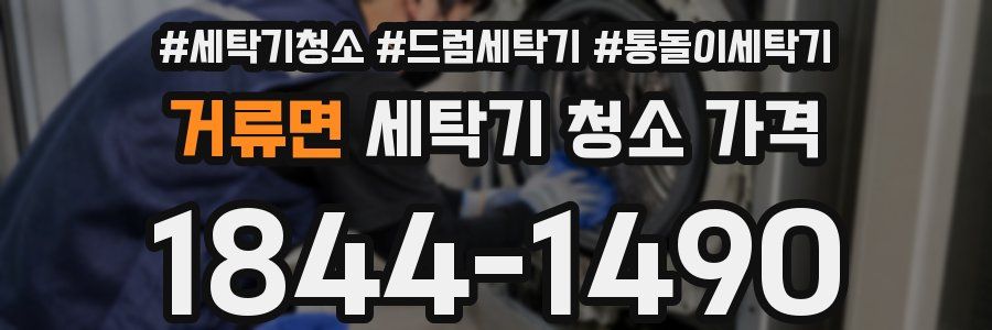 거류면 세탁기 청소 가격