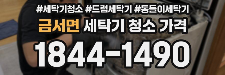 금서면 세탁기 청소 가격