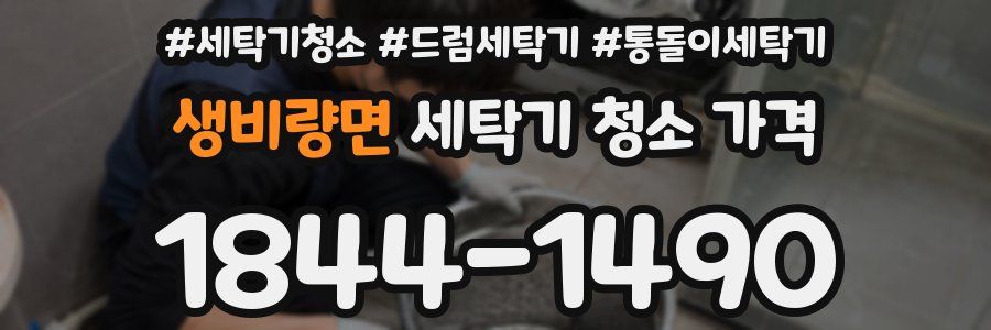 생비량면 세탁기 청소 가격