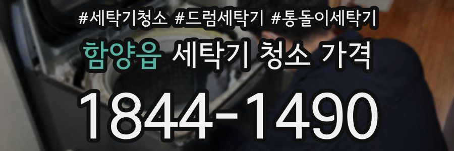 함양읍 세탁기 청소 가격