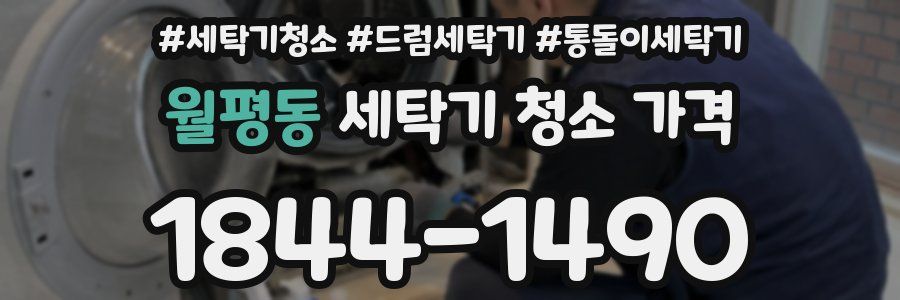 월평동 세탁기 청소 가격