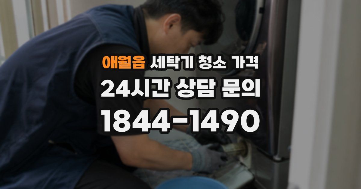애월읍 세탁기 청소 가격
