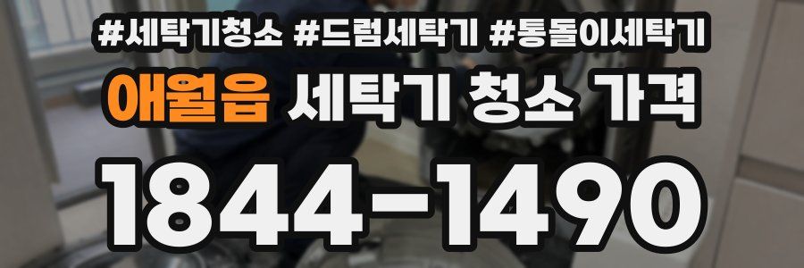 애월읍 세탁기 청소 가격