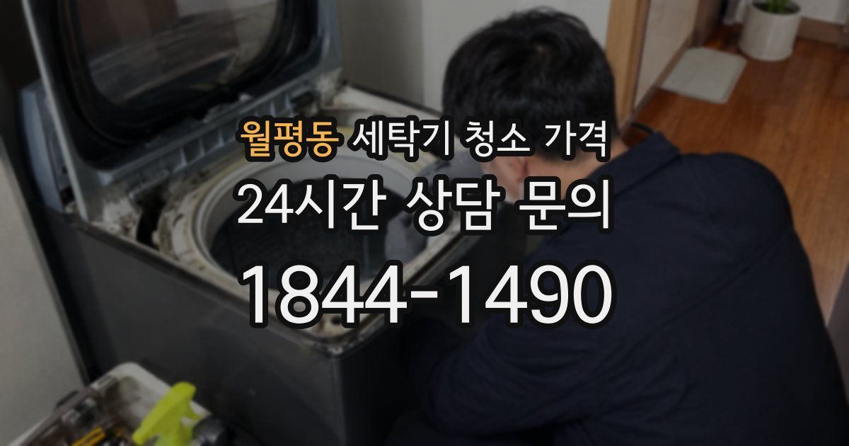 월평동 세탁기 청소 가격