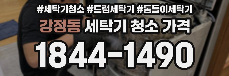강정동 세탁기 청소 가격