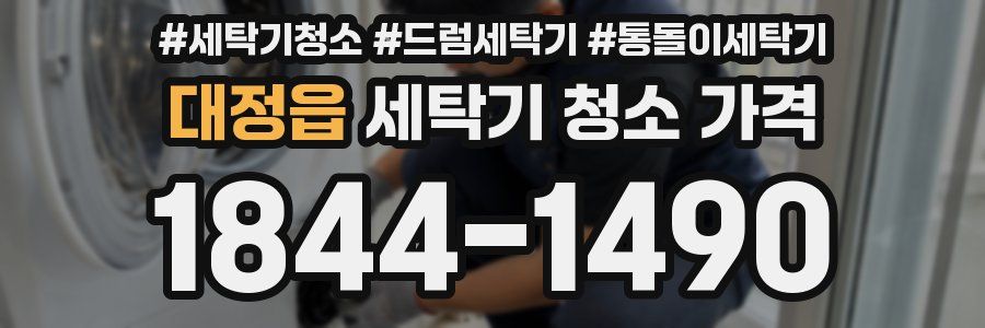 대정읍 세탁기 청소 가격