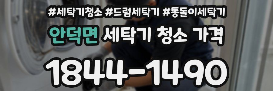 안덕면 세탁기 청소 가격