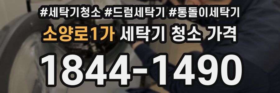 소양로1가 세탁기 청소 가격