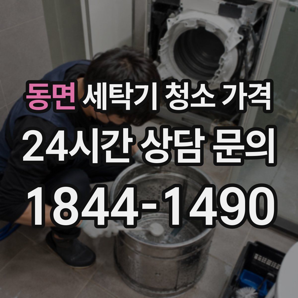 동면 세탁기 청소 가격
