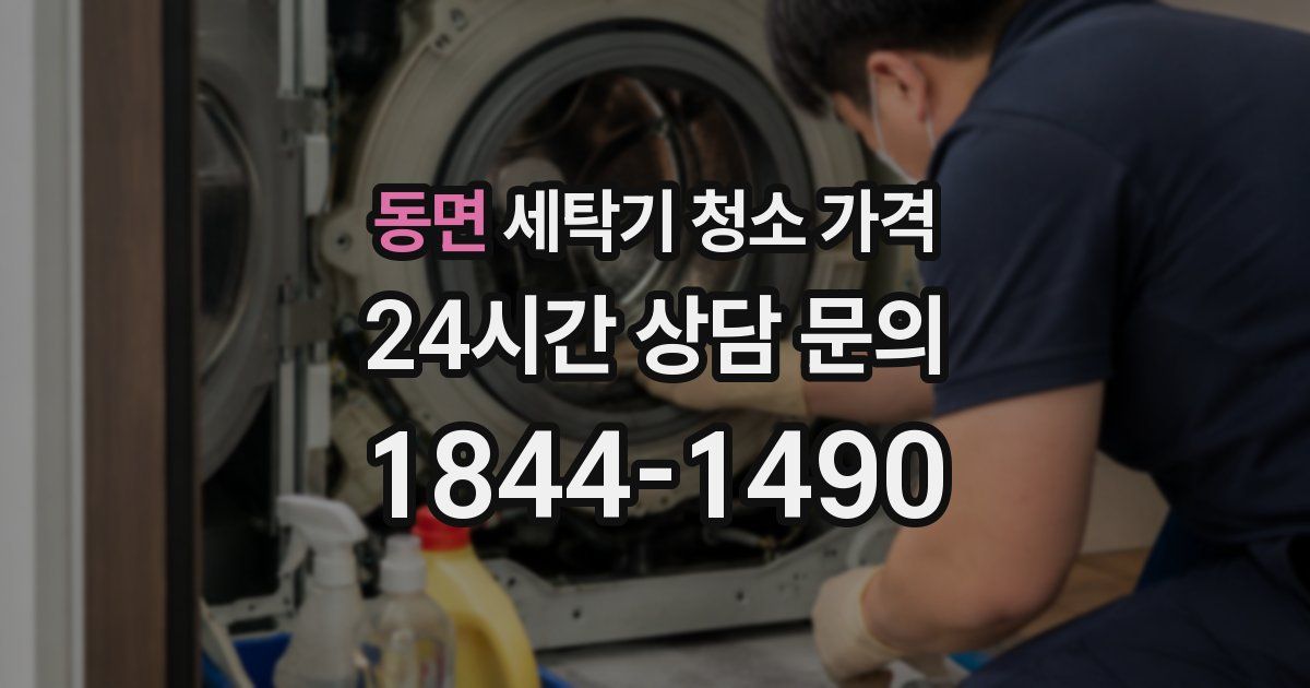 동면 세탁기 청소 가격