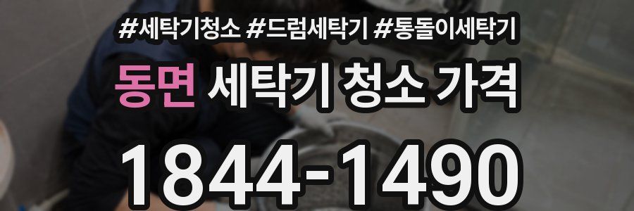 동면 세탁기 청소 가격