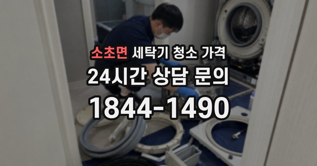 소초면 세탁기 청소 가격