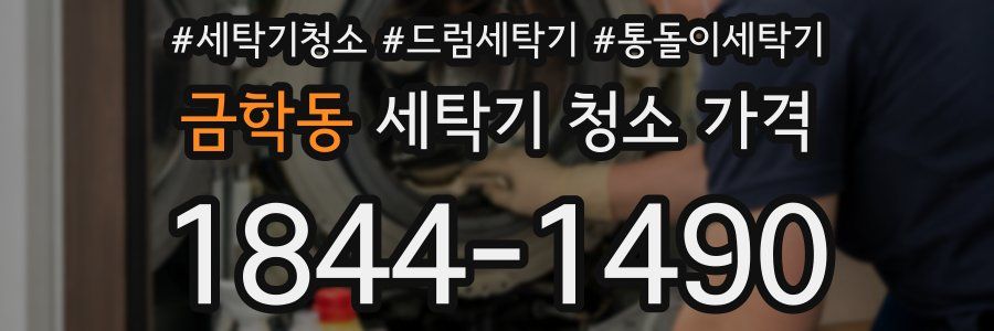 금학동 세탁기 청소 가격
