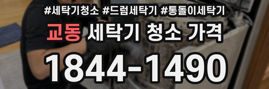 교동 세탁기 청소 가격