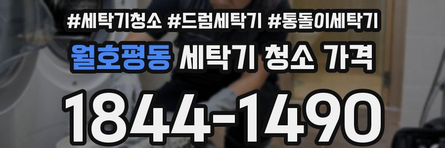 월호평동 세탁기 청소 가격