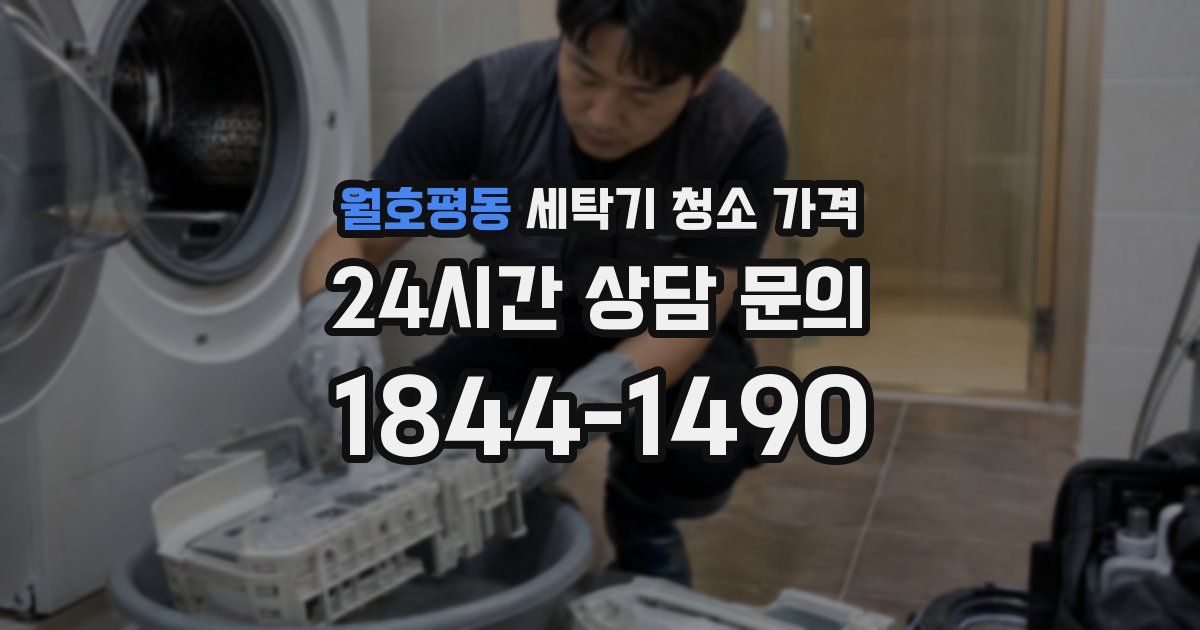 월호평동 세탁기 청소 가격