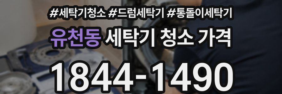 유천동 세탁기 청소 가격