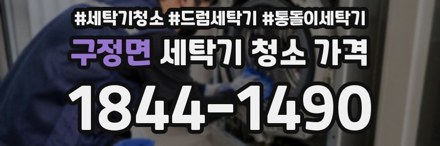 구정면 세탁기 청소 가격