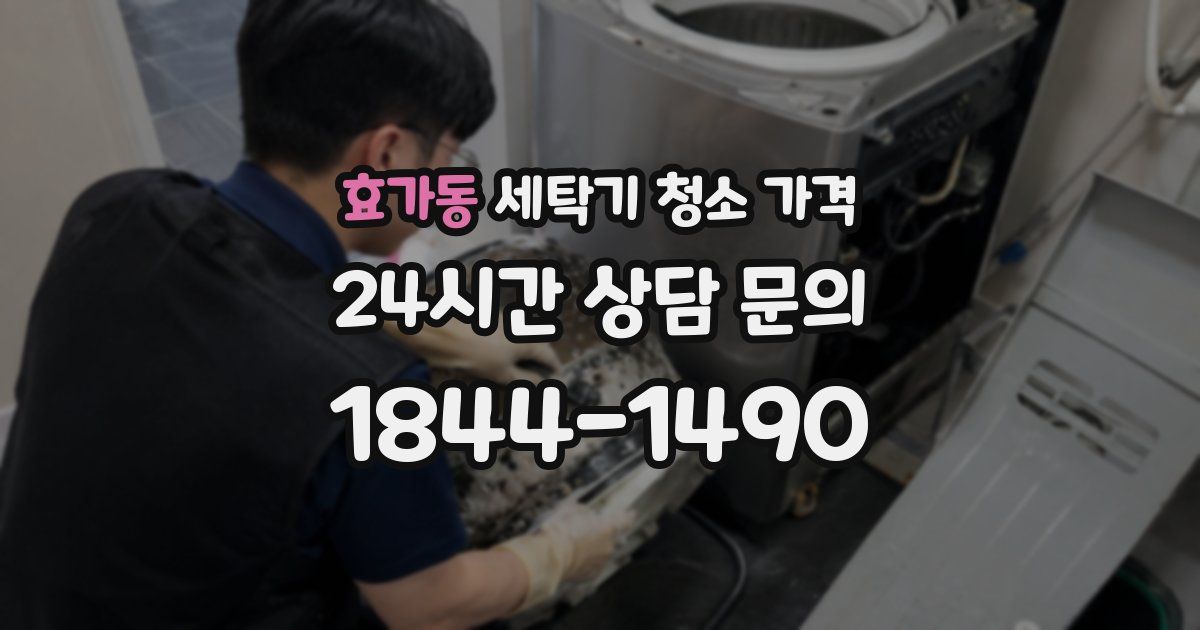 효가동 세탁기 청소 가격