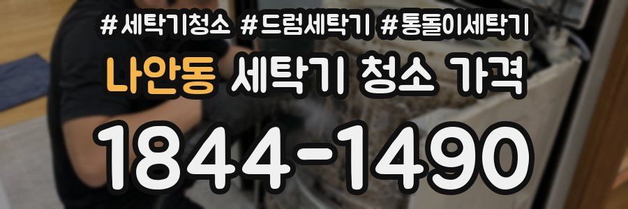 나안동 세탁기 청소 가격
