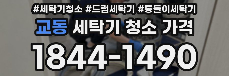 교동 세탁기 청소 가격