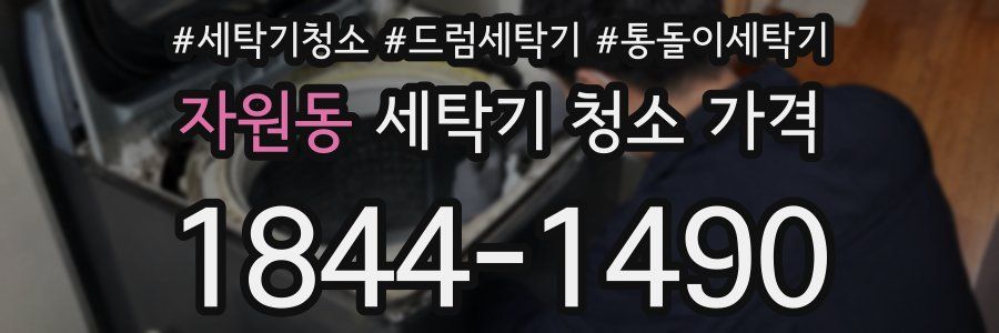 자원동 세탁기 청소 가격
