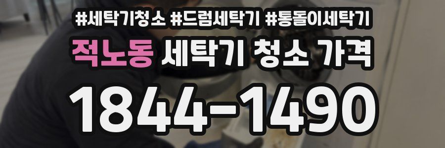 적노동 세탁기 청소 가격