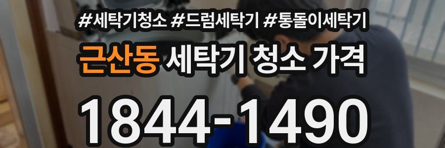 근산동 세탁기 청소 가격