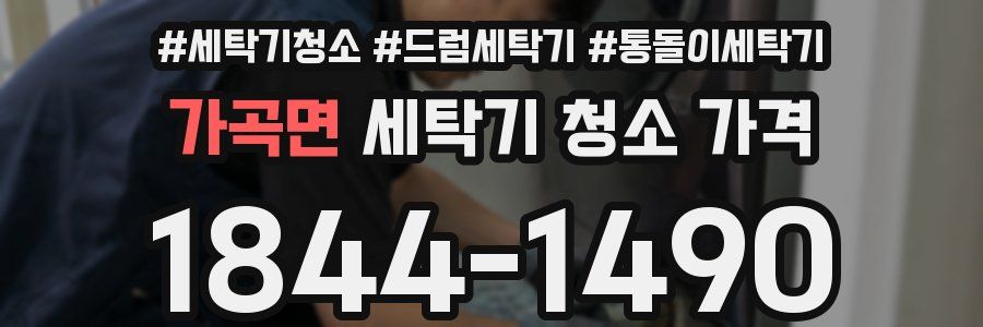 가곡면 세탁기 청소 가격