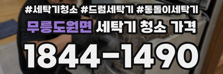 무릉도원면 세탁기 청소 가격