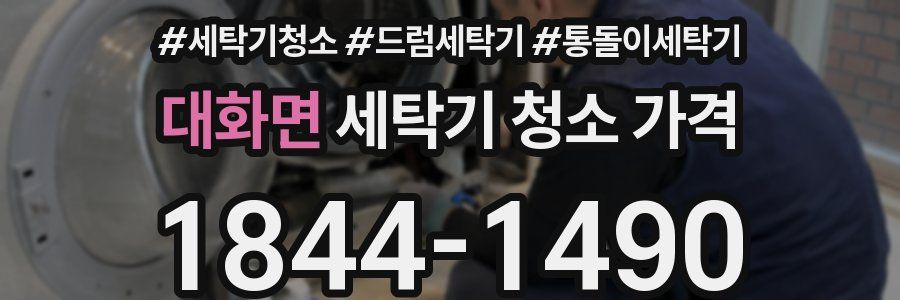 대화면 세탁기 청소 가격