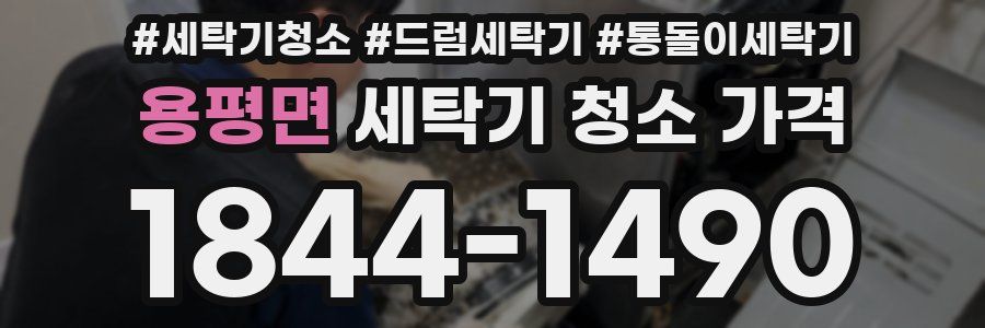 용평면 세탁기 청소 가격