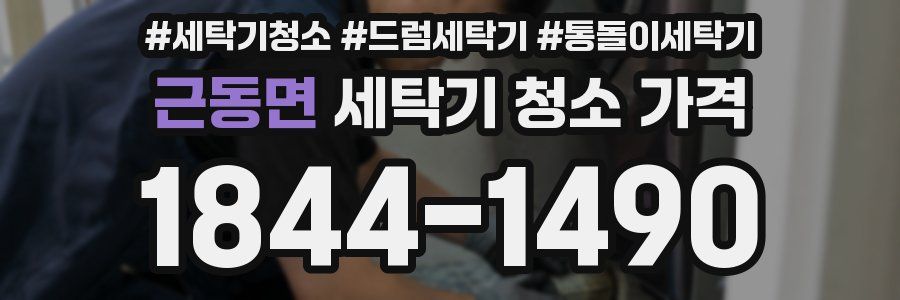 근동면 세탁기 청소 가격