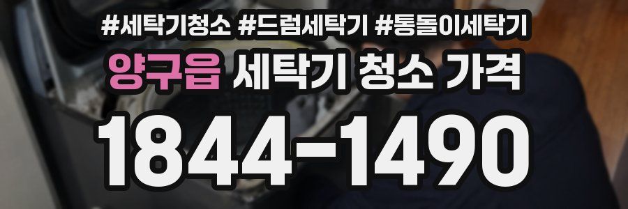 양구읍 세탁기 청소 가격