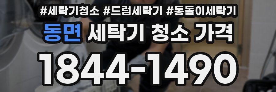 동면 세탁기 청소 가격