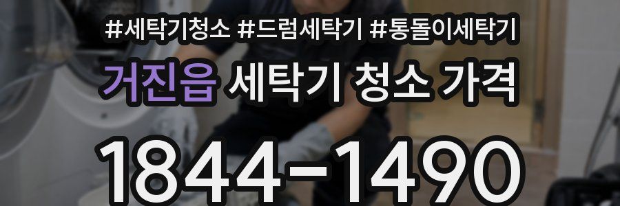 거진읍 세탁기 청소 가격