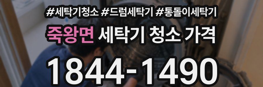 죽왕면 세탁기 청소 가격
