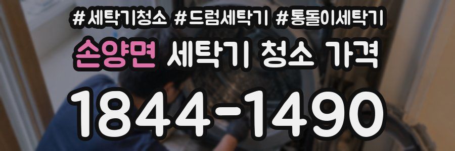 손양면 세탁기 청소 가격