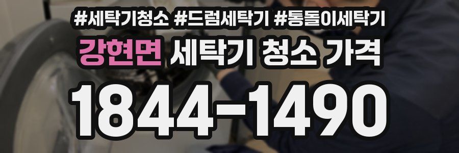 강현면 세탁기 청소 가격