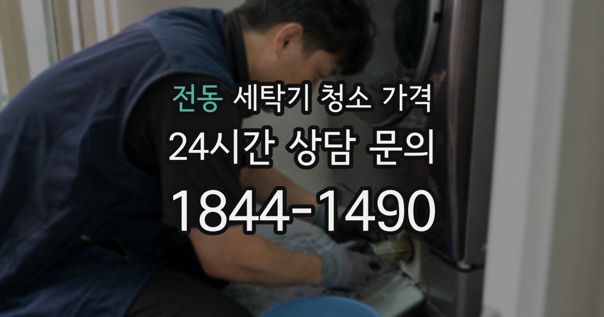 전동 세탁기 청소 가격