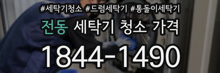 전동 세탁기 청소 가격