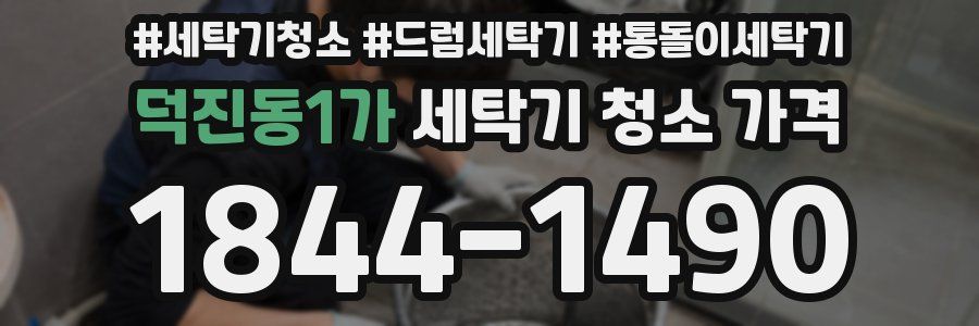 덕진동1가 세탁기 청소 가격